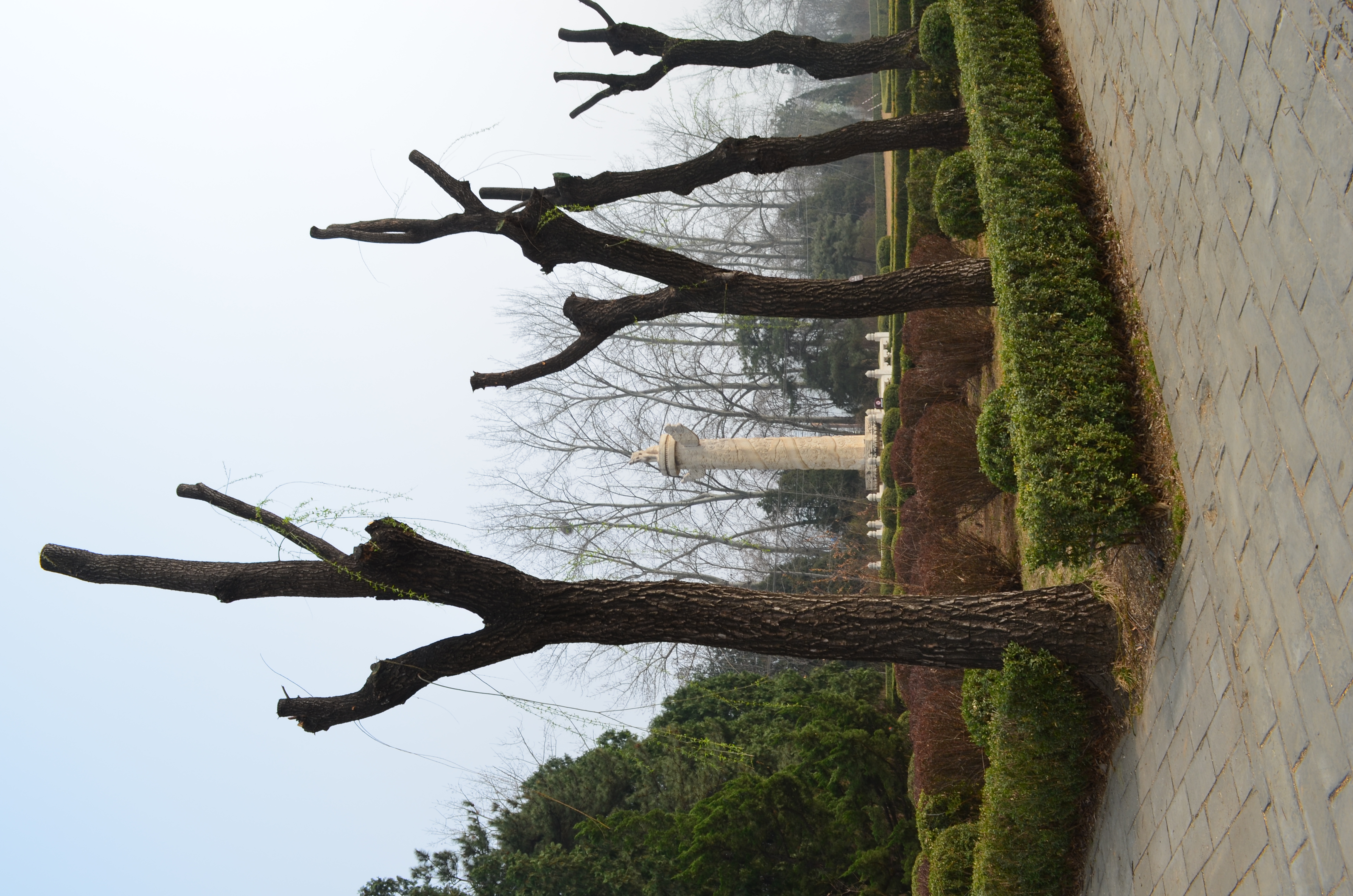./2018/03 - Viking China/04 - Sacred Way Ming Tombs/DSC_0735.JPG